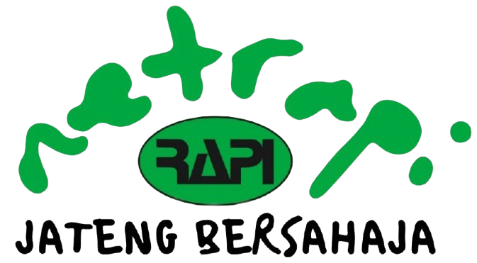 NETRAPI 27MHz